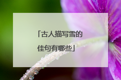 古人描写雪的佳句有哪些