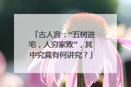 古人言:“五树进宅,人穷家败”,其中究竟有何讲究?