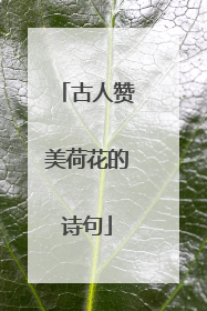 古人赞美荷花的诗句