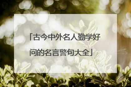 古今中外名人勤学好问的名言警句大全