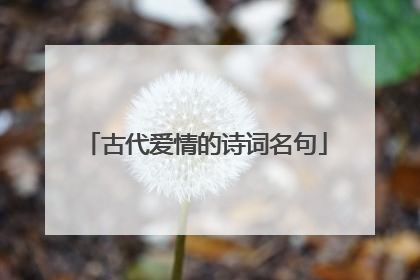 古代爱情的诗词名句