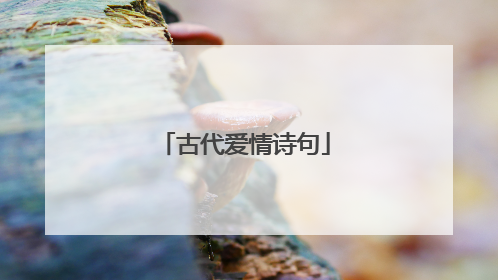 古代爱情诗句
