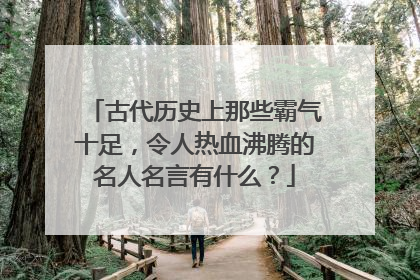 古代历史上那些霸气十足，令人热血沸腾的名人名言有什么？