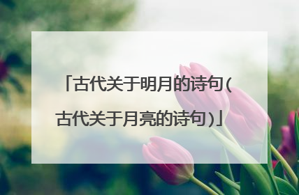 古代关于明月的诗句(古代关于月亮的诗句)