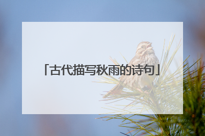 古代描写秋雨的诗句