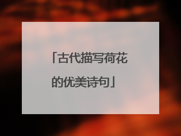古代描写荷花的优美诗句