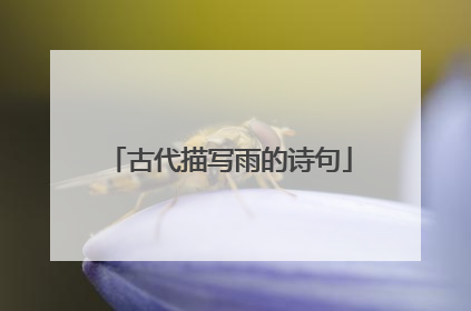 古代描写雨的诗句