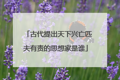 古代提出天下兴亡匹夫有责的思想家是谁