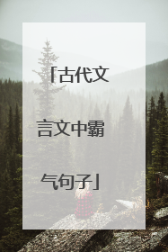 古代文言文中霸气句子