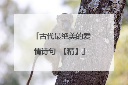 古代最绝美的爱情诗句 【精】