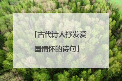 古代诗人抒发爱国情怀的诗句