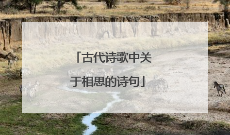 古代诗歌中关于相思的诗句