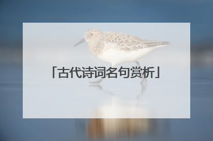 古代诗词名句赏析