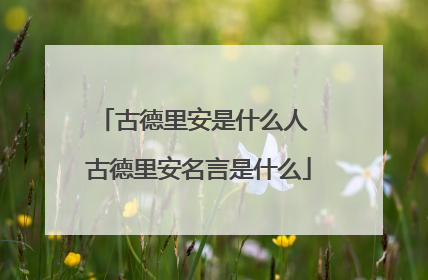 古德里安是什么人 古德里安名言是什么
