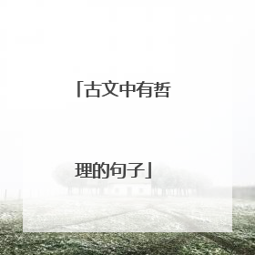 古文中有哲理的句子