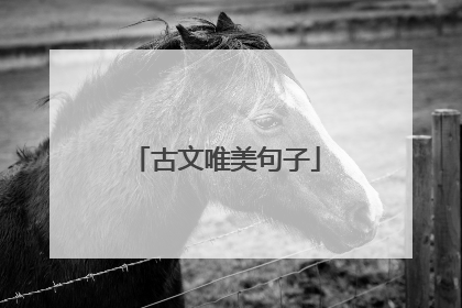 古文唯美句子