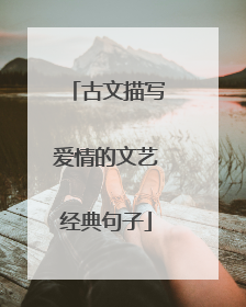 古文描写爱情的文艺经典句子