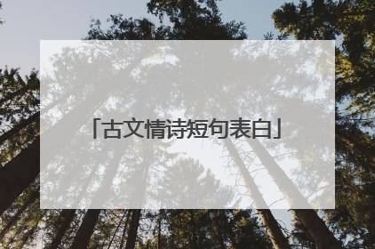 古文情诗短句表白