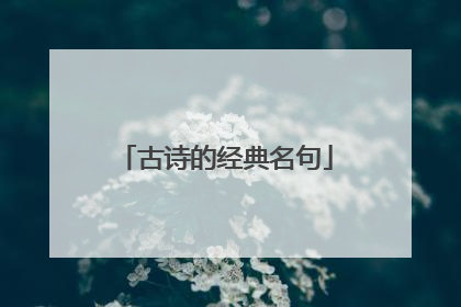 古诗的经典名句