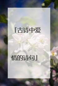 古诗中爱情的诗句