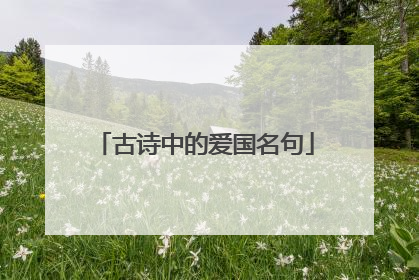 古诗中的爱国名句