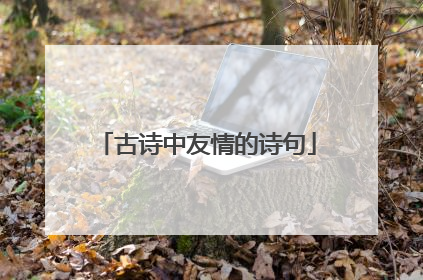 古诗中友情的诗句