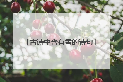 古诗中含有雪的诗句