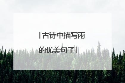古诗中描写雨的优美句子