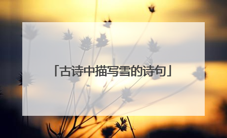 古诗中描写雪的诗句