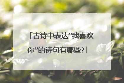 古诗中表达“我喜欢你”的诗句有哪些?