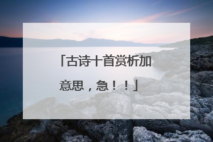 古诗十首赏析加意思，急！！