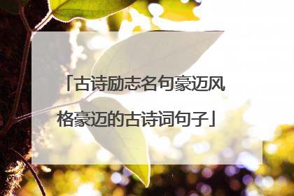 古诗励志名句豪迈风格豪迈的古诗词句子