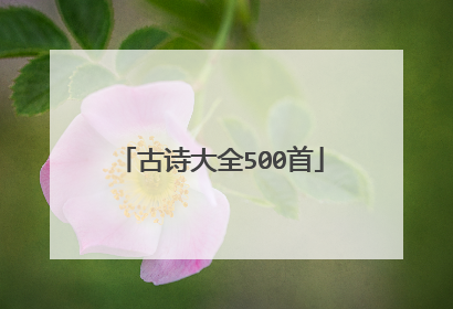 古诗大全500首