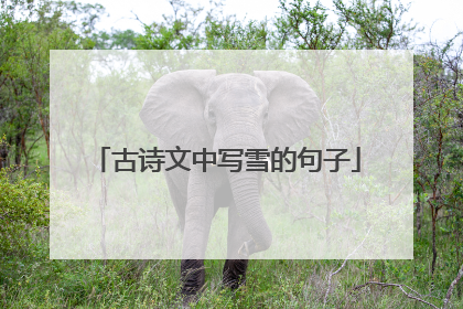 古诗文中写雪的句子