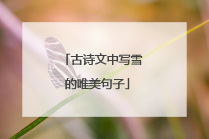 古诗文中写雪的唯美句子