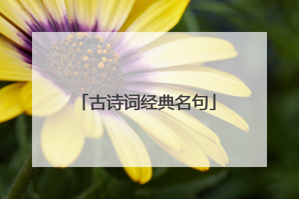 古诗词经典名句