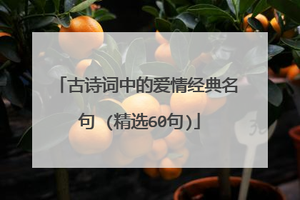 古诗词中的爱情经典名句 (精选60句)