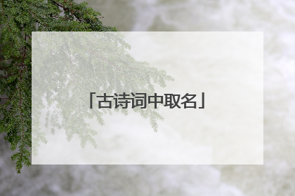 古诗词中取名