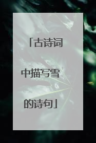 古诗词中描写雪的诗句