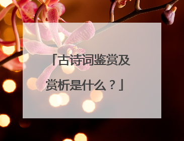 古诗词鉴赏及赏析是什么？