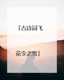 古诗词飞花令之雪