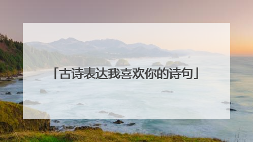 古诗表达我喜欢你的诗句