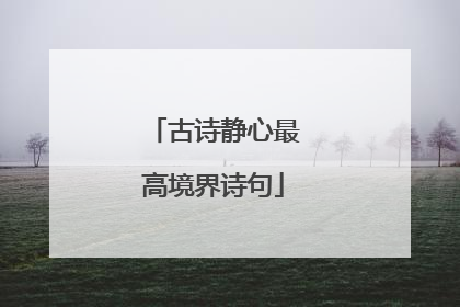古诗静心最高境界诗句