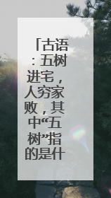 古语:五树进宅,人穷家败,其中“五树”指的是什么?