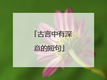 古言中有深意的短句