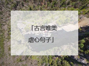 古言唯美虐心句子