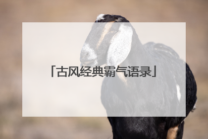 古风经典霸气语录