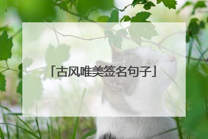 古风唯美签名句子