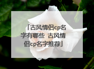 古风情侣cp名字有哪些 古风情侣cp名字推荐