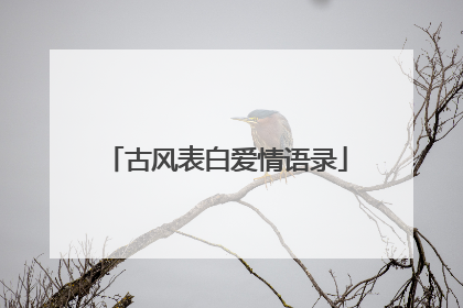 古风表白爱情语录